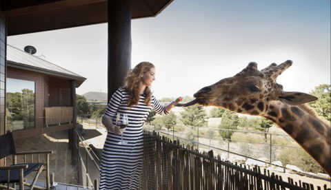 Jamala Wildlife Lodge - Goulburn Accommodation 8