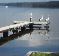 Basin Cabin - Goulburn Accommodation