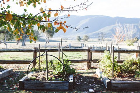 Alpine Edge Accommodation - Goulburn Accommodation 5