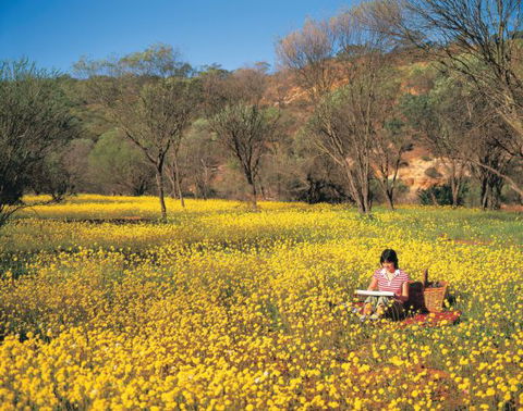 Wolfe Creek Crater Camp At Wolfe Creek Crater National Park - Goulburn Accommodation 20