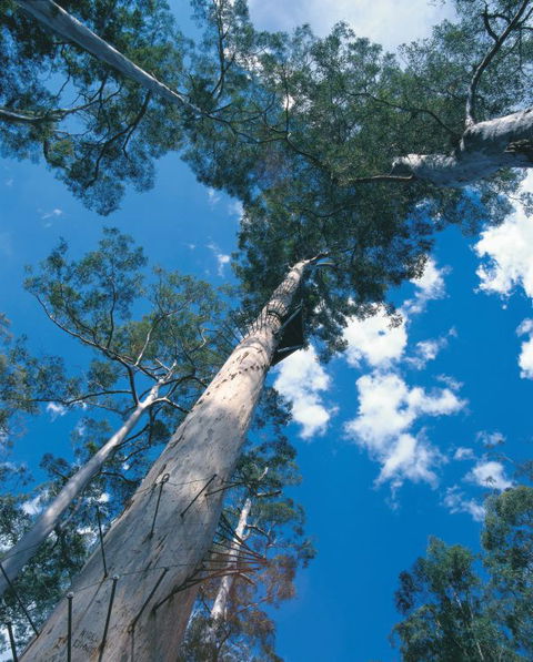 Wolfe Creek Crater Camp At Wolfe Creek Crater National Park - Goulburn Accommodation 13