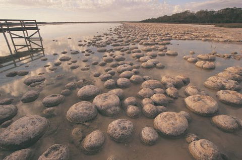 Wolfe Creek Crater Camp At Wolfe Creek Crater National Park - Goulburn Accommodation 22