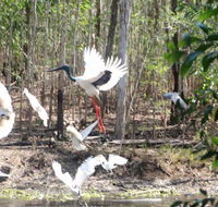 Rakhi Retreat - Goulburn Accommodation