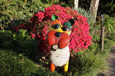 Pizzini's Vineyard Guesthouse - Goulburn Accommodation 7