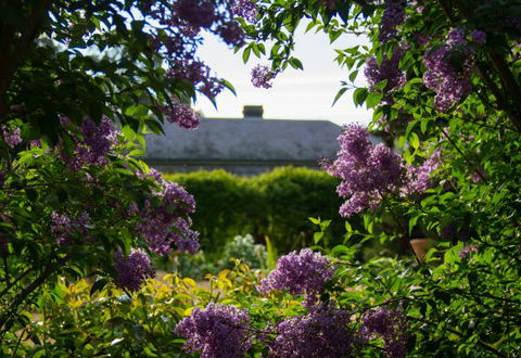 Eurambeen Historic Homestead And Gardens - Goulburn Accommodation 1