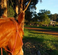 Billa Billa Farm Cottages - Goulburn Accommodation