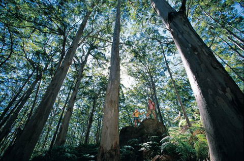 Point Road Camp At Leeuwin-Naturaliste National Park - Goulburn Accommodation 1