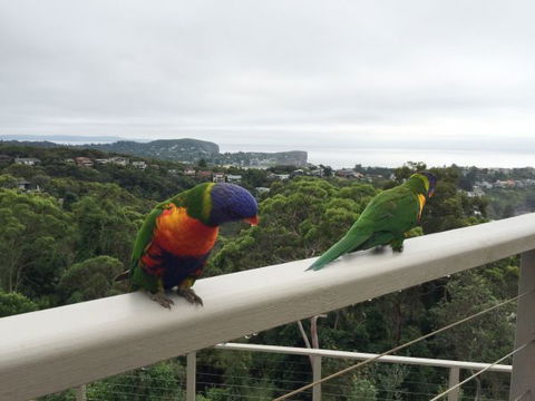 Avalon Horizons - Goulburn Accommodation 8