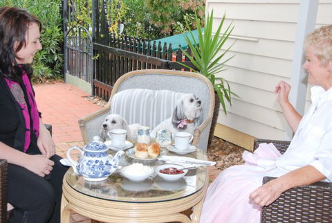 Must Love Dogs B&B And Self-Contained Cottage - Goulburn Accommodation 2