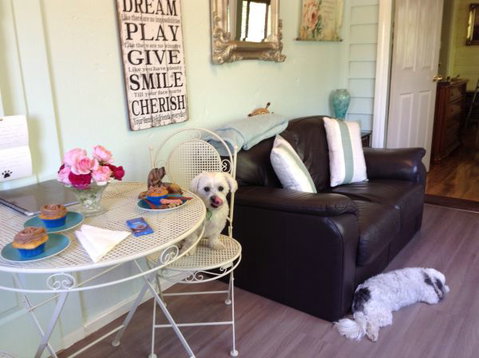 Must Love Dogs B&B And Self-Contained Cottage - Goulburn Accommodation 4
