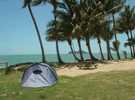 Ellis Beach Oceanfront Bungalows - Goulburn Accommodation 2