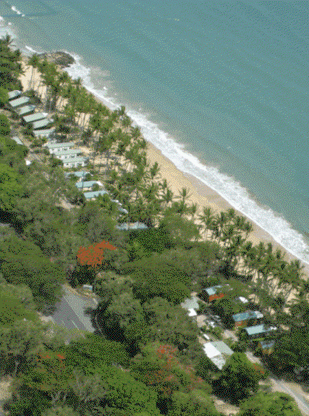 Ellis Beach Oceanfront Bungalows - Goulburn Accommodation 4