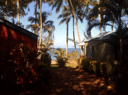 Ellis Beach Oceanfront Bungalows - Goulburn Accommodation 5