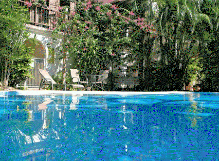 Tranquility Palm Cove - Goulburn Accommodation 0