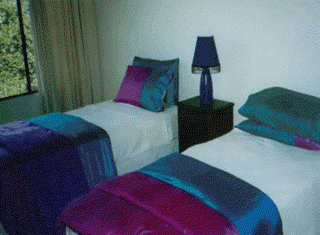 Tranquility Palm Cove - Goulburn Accommodation 4