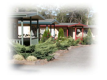 Kapunda Tourist Park - Goulburn Accommodation 1