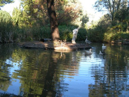 Lyndoch Hill Retreat - Goulburn Accommodation 2