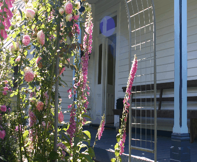 Devonport Bed And Breakfast - Goulburn Accommodation