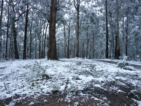 High Peaks Cottages - Goulburn Accommodation 0