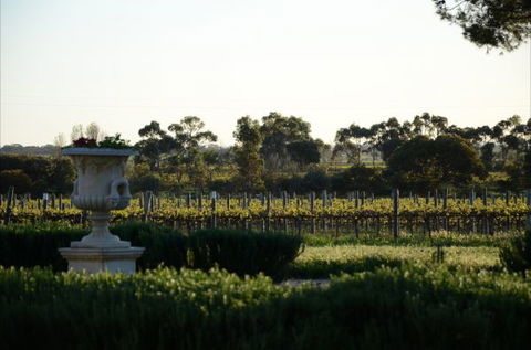 Angas Plains Estate Wines Heritage Suite - Goulburn Accommodation 6