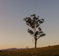 Faulls Ridge Winery - Goulburn Accommodation
