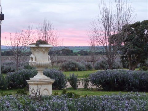 Angas Plains Wines Suites - Goulburn Accommodation 3