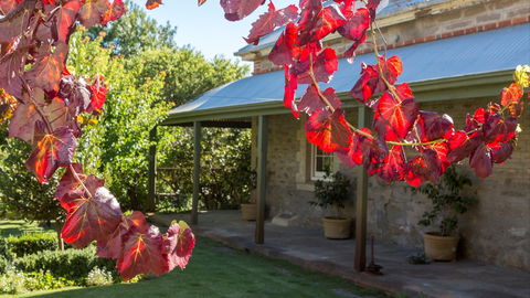 Grand Cru Estate Homestead - Goulburn Accommodation 0