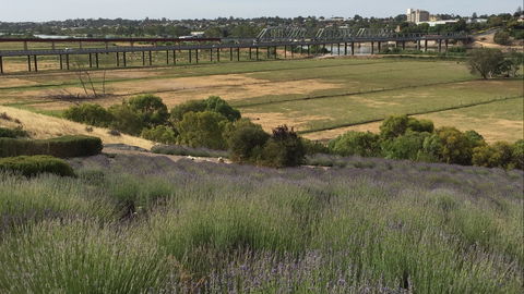 Brayfield Cottage - Goulburn Accommodation 0