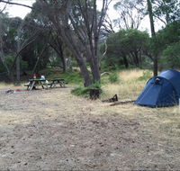 Allports Beach Camping Ground - Goulburn Accommodation