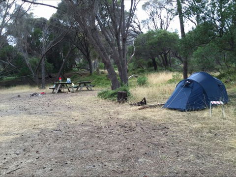 Allports Beach Camping Ground - Goulburn Accommodation 0