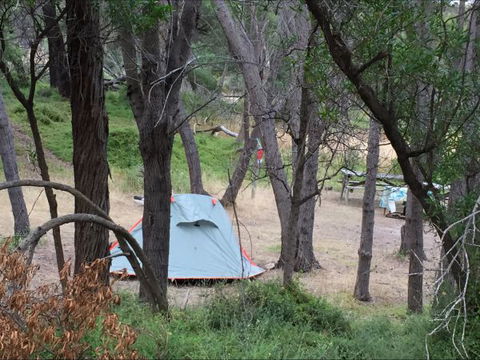 Allports Beach Camping Ground - Goulburn Accommodation 5