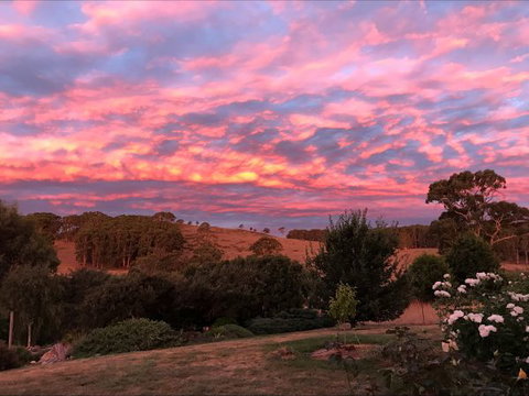 Avaleigh Elms Farmstay - Goulburn Accommodation 5