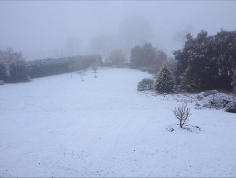 Avaleigh Elms Farmstay - Goulburn Accommodation 6