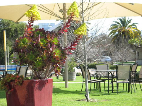 Golden Chain Wine Village Motor Inn - Goulburn Accommodation 3