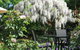 Golden Chain Wine Village Motor Inn - thumb 5