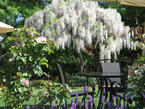 Golden Chain Wine Village Motor Inn - Goulburn Accommodation 5