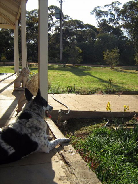 Great Grandpa Henry Retreat - Goulburn Accommodation 4
