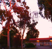 Murray Bridge Central Olympic Motel and Cottages - Goulburn Accommodation