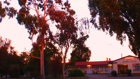 Murray Bridge Central Olympic Motel And Cottages - Goulburn Accommodation 0