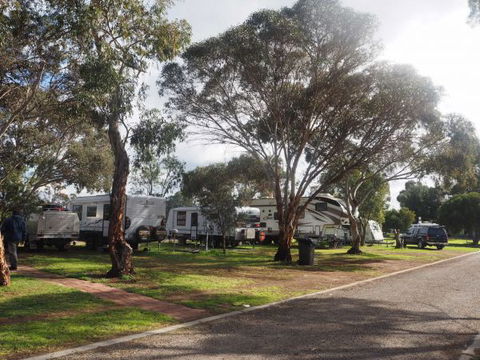 Murray Bridge Marina Camping And Caravan Park - Goulburn Accommodation 4