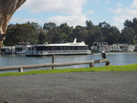 Murray Bridge Marina Camping And Caravan Park - Goulburn Accommodation 6
