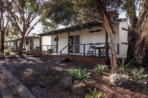 Murray Bridge Marina Camping And Caravan Park - Goulburn Accommodation 9
