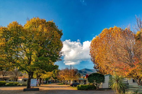 Porepunkah Bridge Holiday Park - Goulburn Accommodation 3
