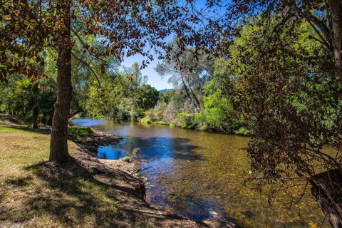 Porepunkah Bridge Holiday Park - Goulburn Accommodation 5
