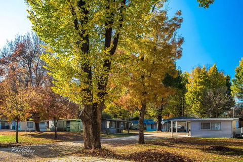 Porepunkah Bridge Holiday Park - Goulburn Accommodation 8
