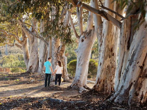 Rilli Retreat - Goulburn Accommodation 3