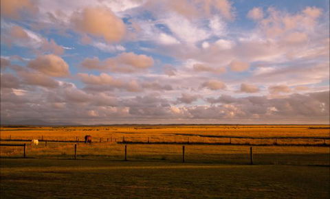 Sanctuary@Waratah - Goulburn Accommodation 8