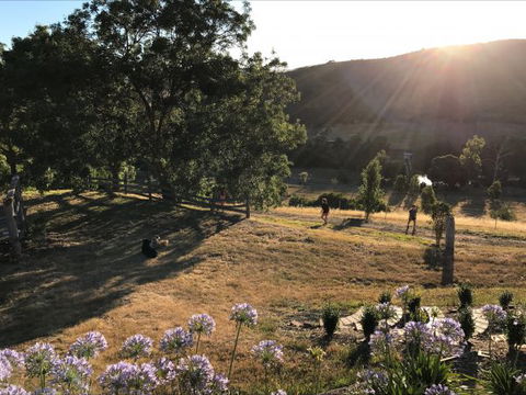 Shearer's Hill - Luxury Farm Stay - Goulburn Accommodation 9