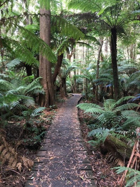 Woodland Mirth Holiday Retreat - Goulburn Accommodation 8