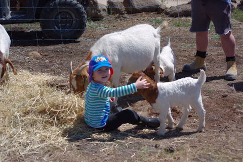 Yalooka Farm - Goulburn Accommodation 3